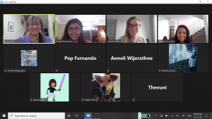 Screenshot of our meeting 